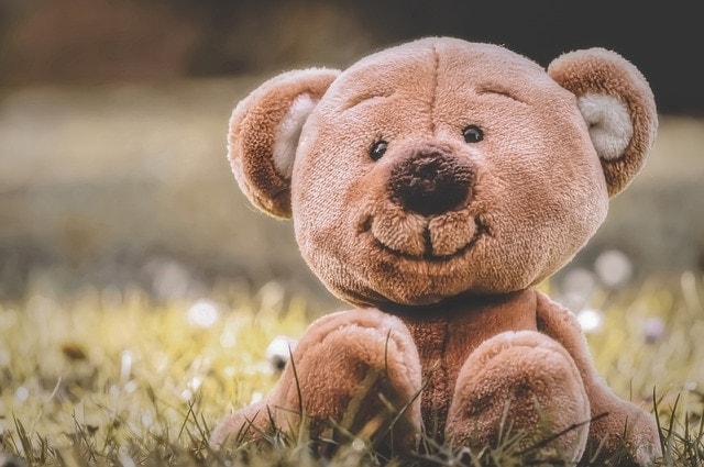 spanish names to call your boyfriend: oso de peluche - teddy bear