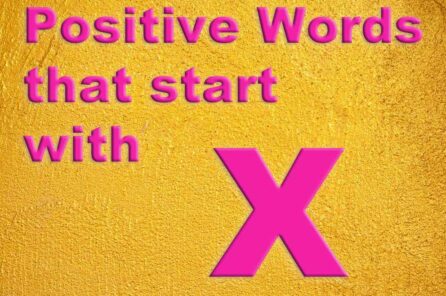 Positive Words that start with X – 15 Words for more Sanguinity